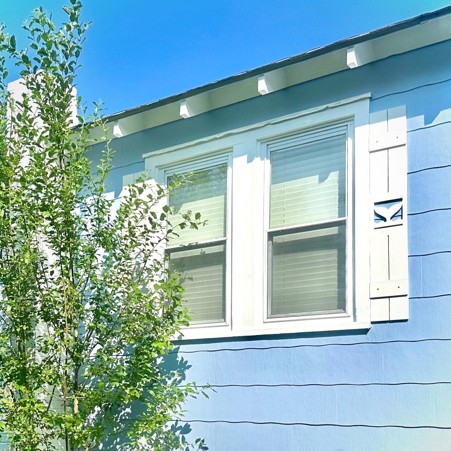 Weatherproof Whale Tail Window Shutters – Custom Beach House & Coastal Home Exterior Nautical Shutters (Sold Individually)