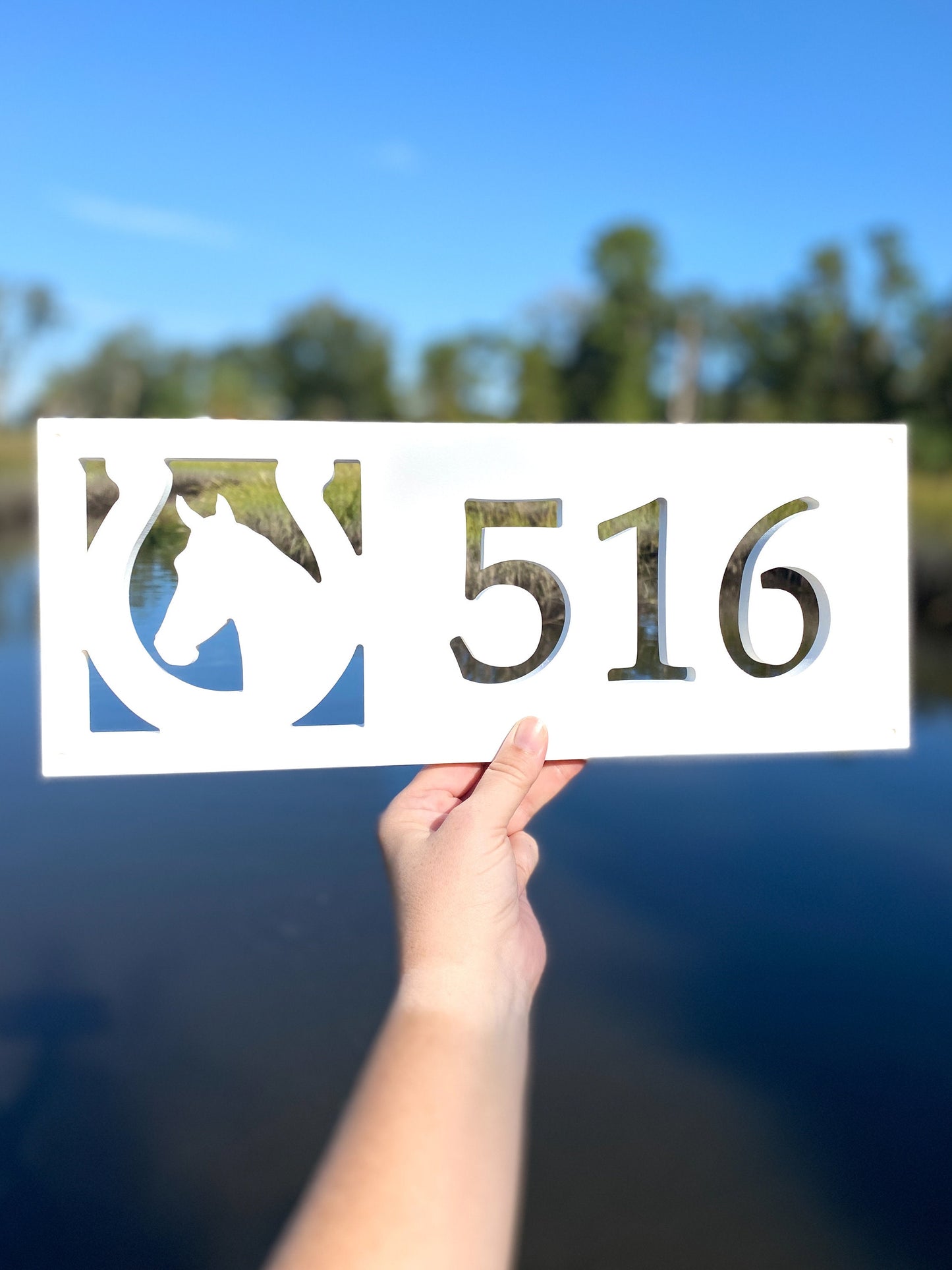 Horse Address Sign, Horizontal Horseshoe House Numbers, Horse Stable Address Plaque, Weatherproof PVC Home Address, Modern Country Farmhouse