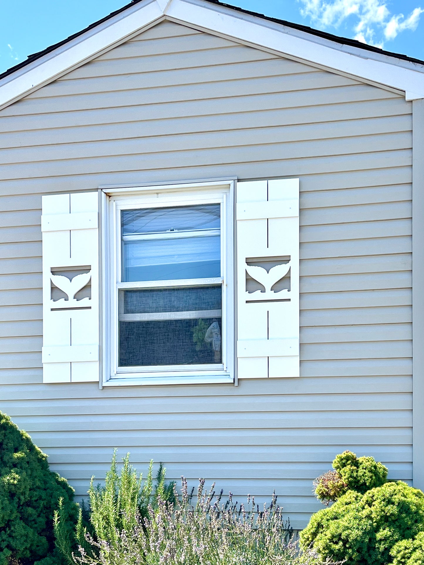 Weatherproof Whale Tail Nautical Window Shutters for Outdoor Beach House or Coastal Home Decor (Tall Shutter Size)
