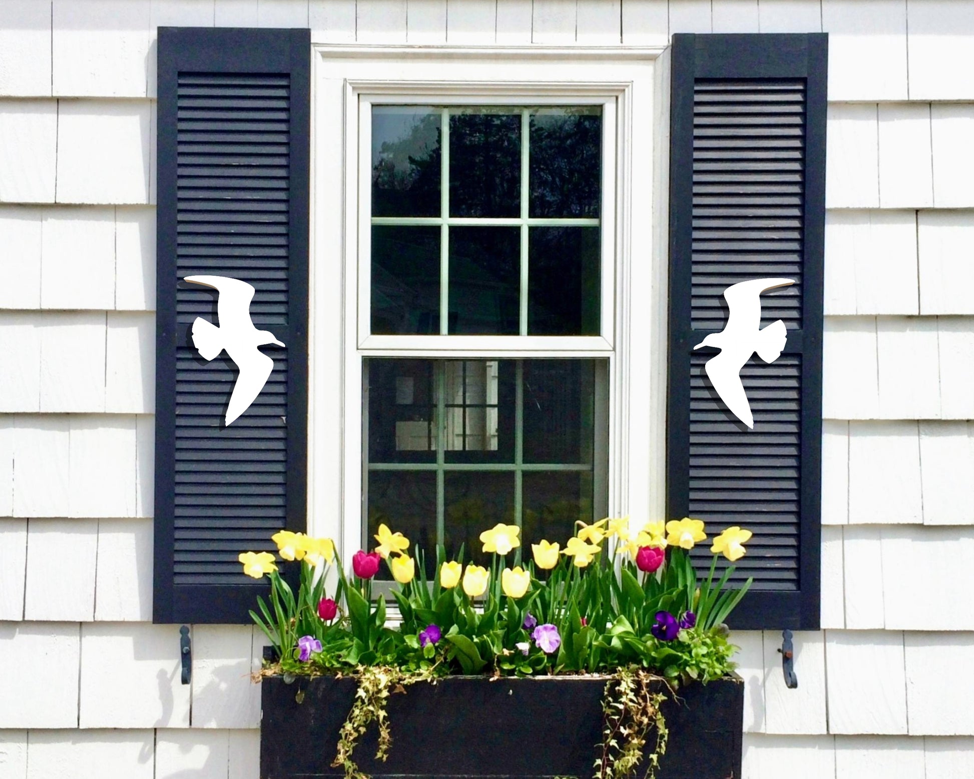 Seagull bird beach house shutter embellishments, ocean bird shutter decorations for coastal home.