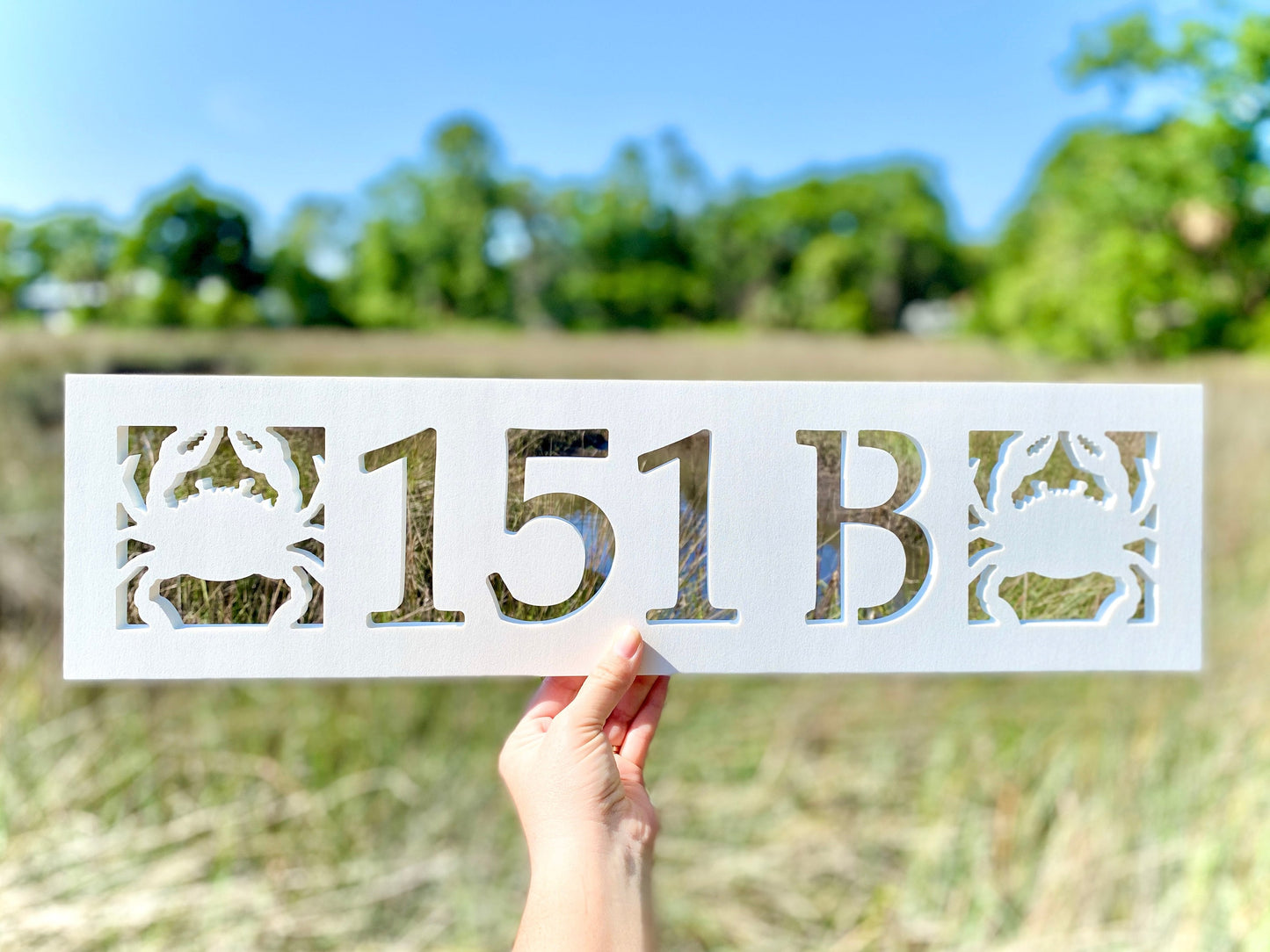Crab Address for Beach House, Narrow Horizontal Address Sign, Coastal Home Exterior Decor, Outdoor PVC Weatherproof Nautical House Numbers