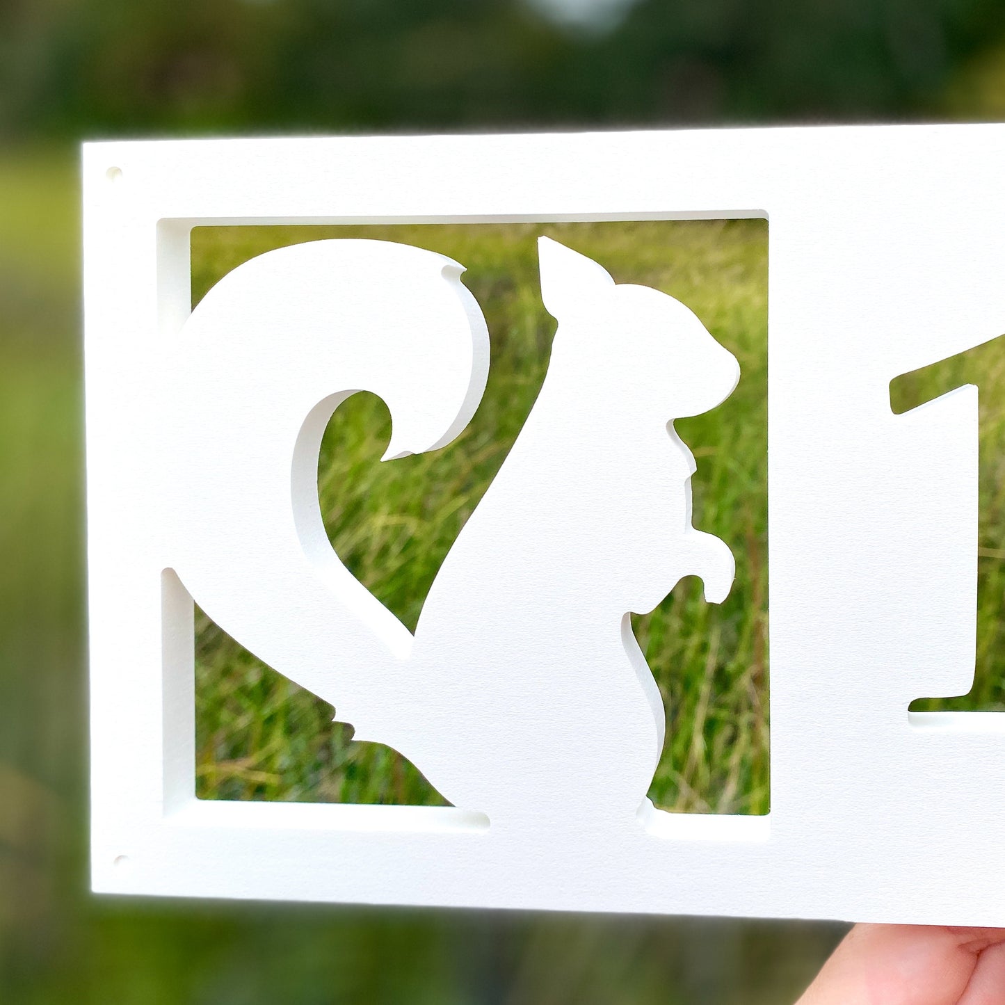 Squirrel Address Sign, Horizontal House Numbers, Outdoor Weatherproof PVC, Mountain Cabin Address Plate, Lake House Animal Address Plaque