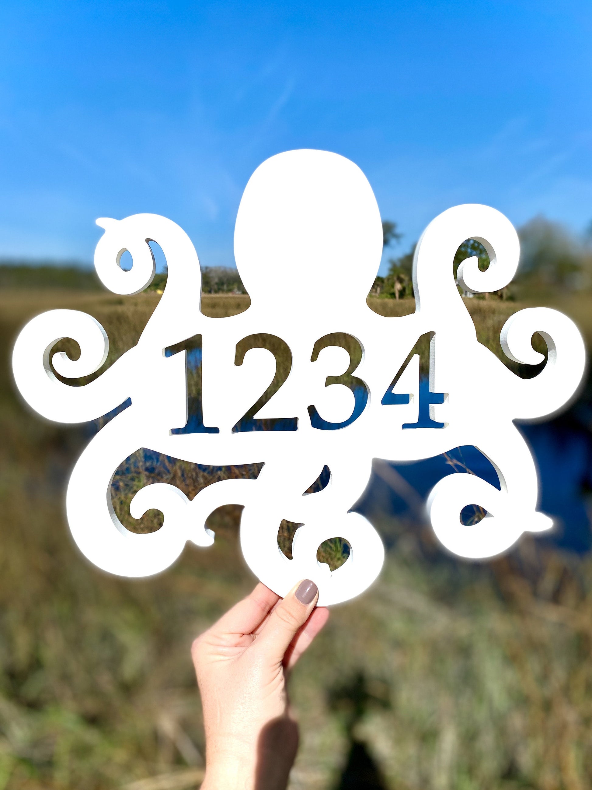 Octopus House Numbers, Weatherproof Address Sign, Unique Exterior Decor for Beach House, Ocean Decor for Coastal Home, Large Address Plaque