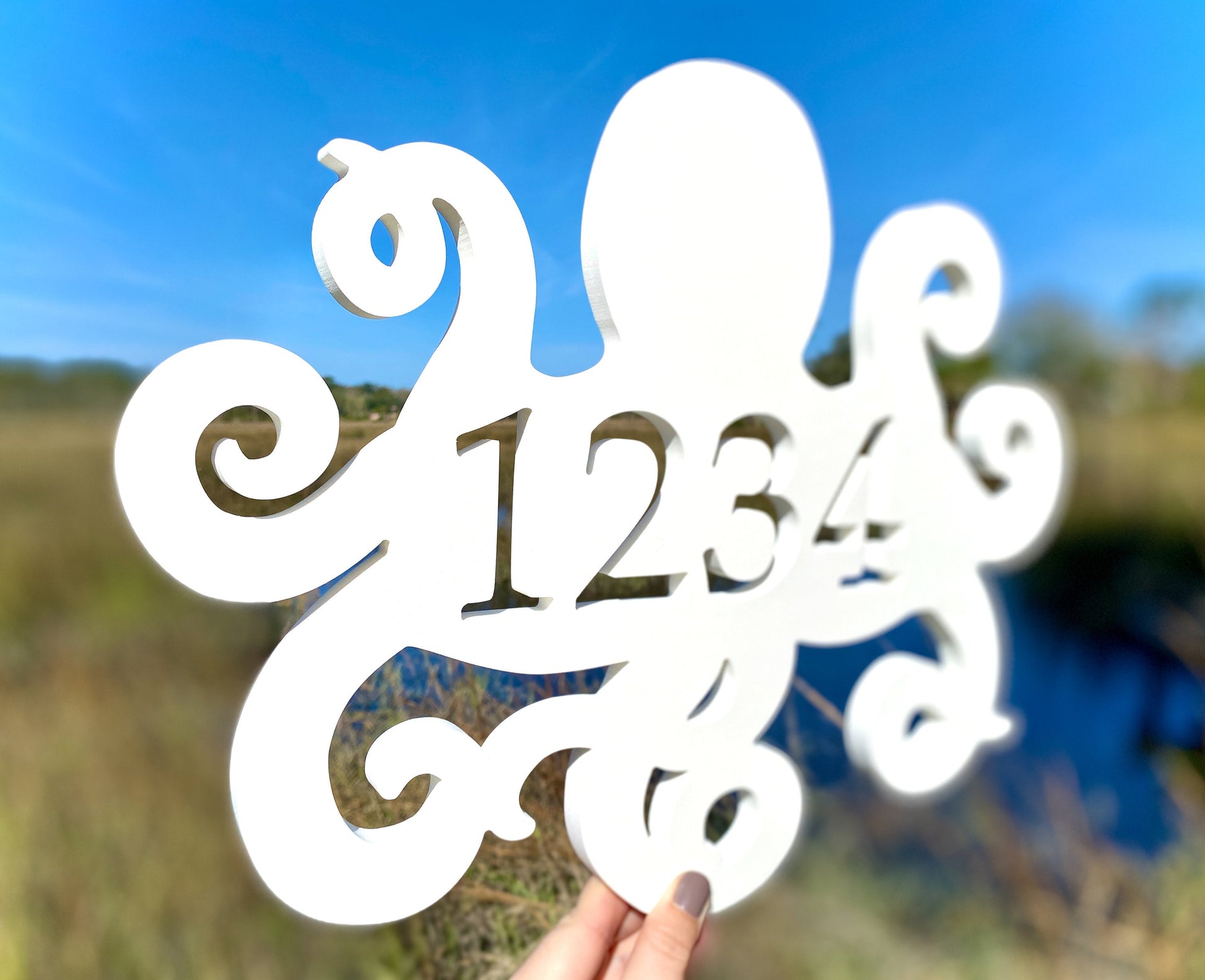 Octopus House Numbers, Weatherproof Address Sign, Unique Exterior Decor for Beach House, Ocean Decor for Coastal Home, Large Address Plaque